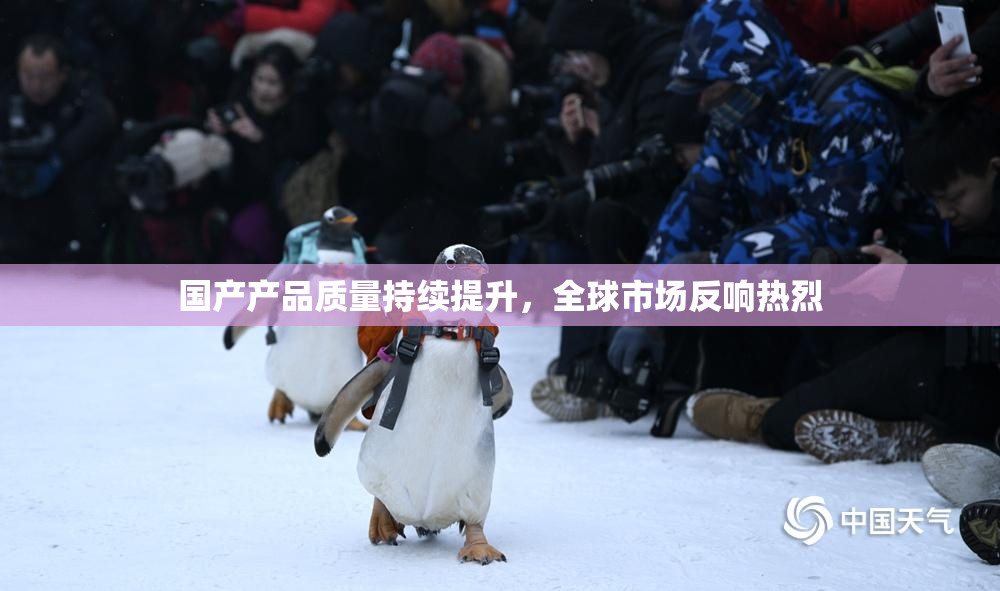 国产产品质量持续提升，全球市场反响热烈