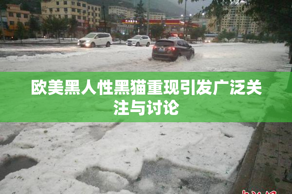 欧美黑人性黑猫重现引发广泛关注与讨论