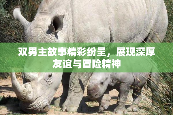 双男主故事精彩纷呈，展现深厚友谊与冒险精神