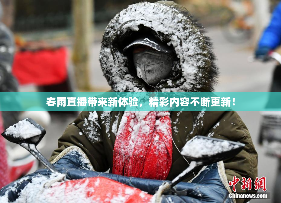 春雨直播带来新体验，精彩内容不断更新！