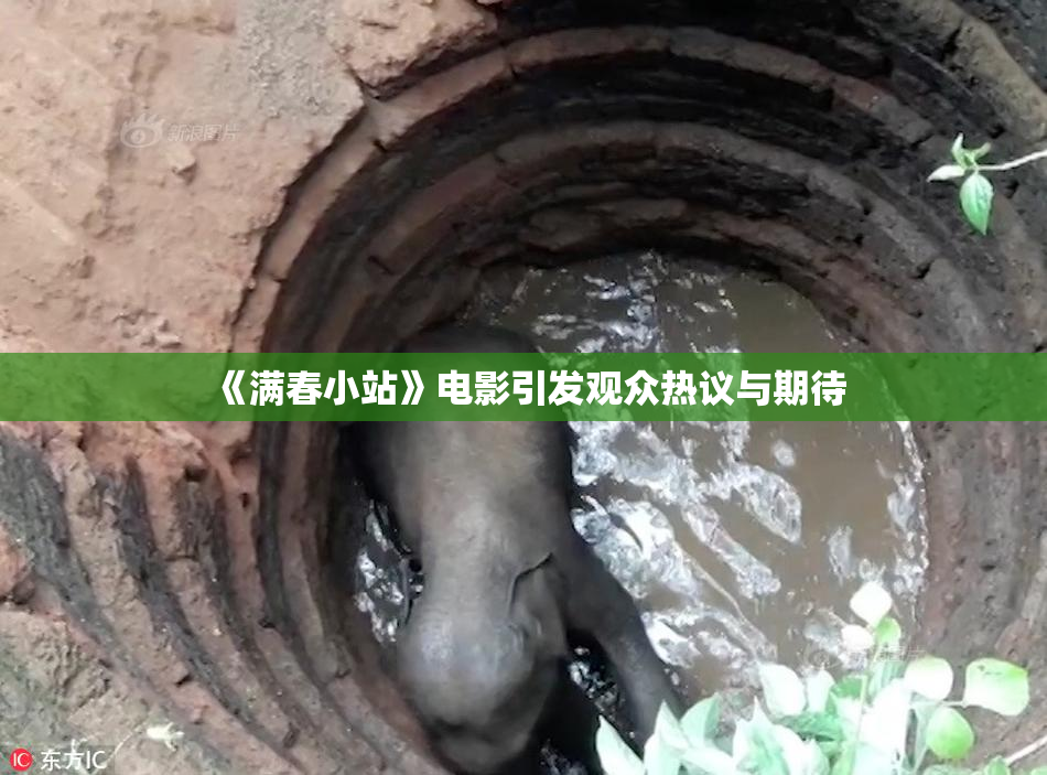《满春小站》电影引发观众热议与期待