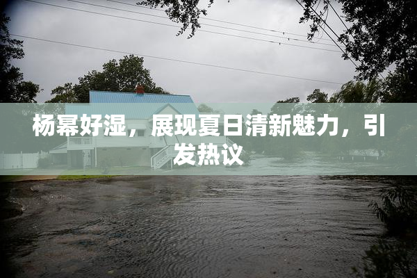 杨幂好湿，展现夏日清新魅力，引发热议