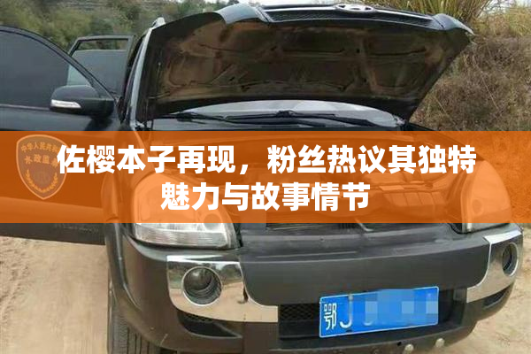 佐樱本子再现，粉丝热议其独特魅力与故事情节