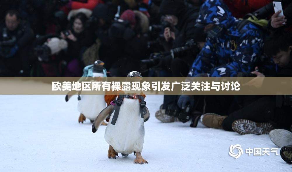 欧美地区所有裸露现象引发广泛关注与讨论