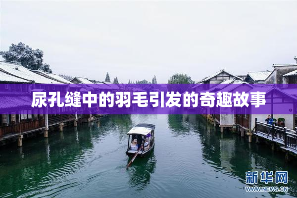 尿孔缝中的羽毛引发的奇趣故事