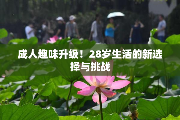 成人趣味升级！28岁生活的新选择与挑战