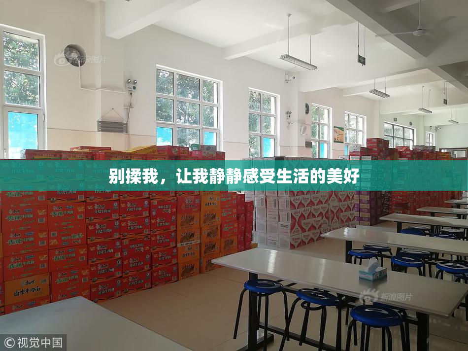 别揉我，让我静静感受生活的美好
