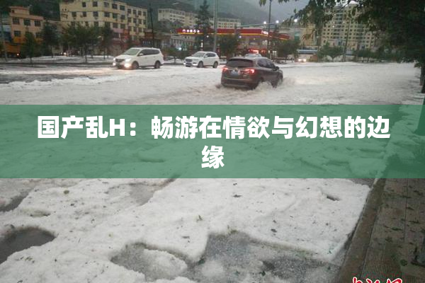 国产乱H：畅游在情欲与幻想的边缘