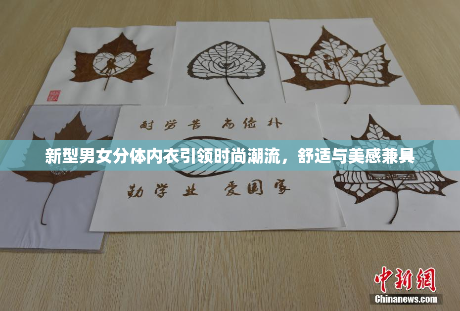新型男女分体内衣引领时尚潮流，舒适与美感兼具