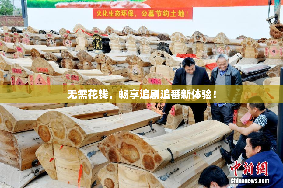 无需花钱，畅享追剧追番新体验！