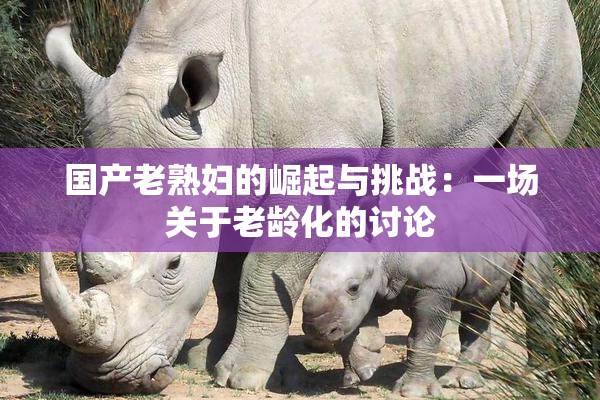 国产老熟妇的崛起与挑战：一场关于老龄化的讨论