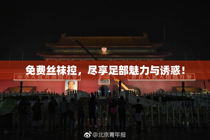 免费丝袜控，尽享足部魅力与诱惑！