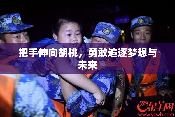 把手伸向胡桃，勇敢追逐梦想与未来