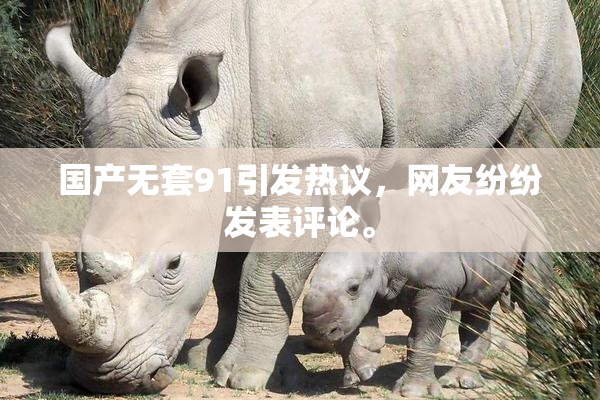 国产无套91引发热议，网友纷纷发表评论。