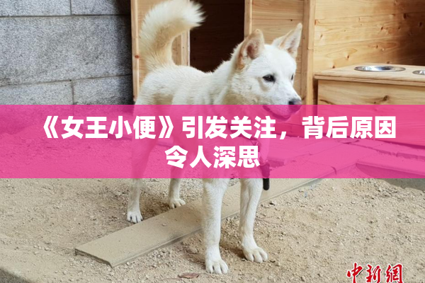 《女王小便》引发关注，背后原因令人深思