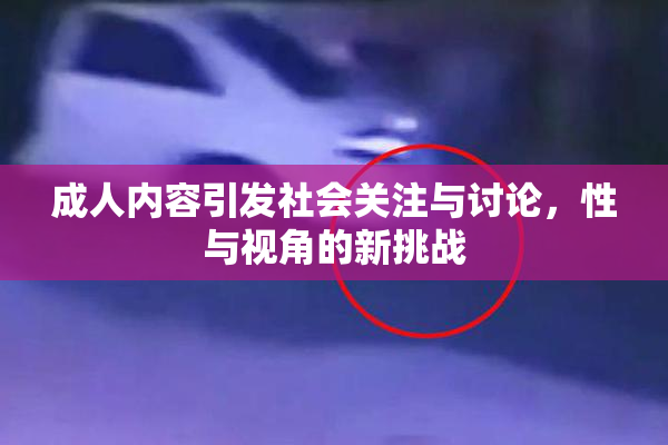 成人内容引发社会关注与讨论，性与视角的新挑战