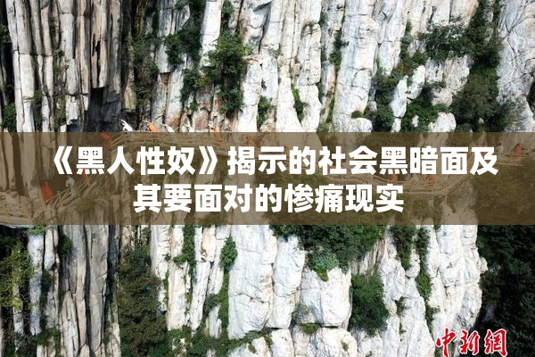 《黑人性奴》揭示的社会黑暗面及其要面对的惨痛现实