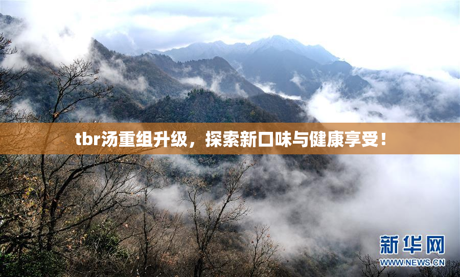 tbr汤重组升级，探索新口味与健康享受！