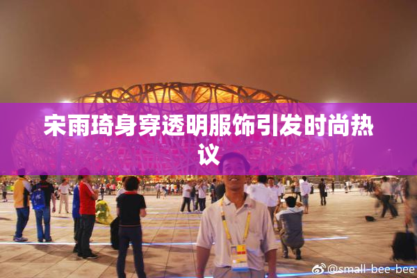 宋雨琦身穿透明服饰引发时尚热议