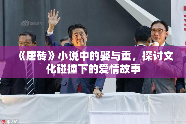 《唐砖》小说中的娶与重，探讨文化碰撞下的爱情故事