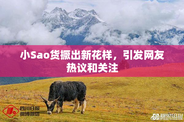 小Sao货撅出新花样，引发网友热议和关注