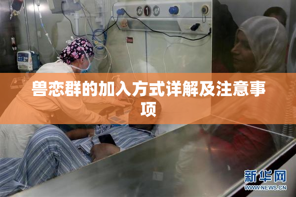兽恋群的加入方式详解及注意事项
