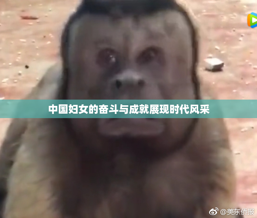 中国妇女的奋斗与成就展现时代风采