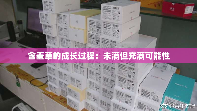 含羞草的成长过程：未满但充满可能性