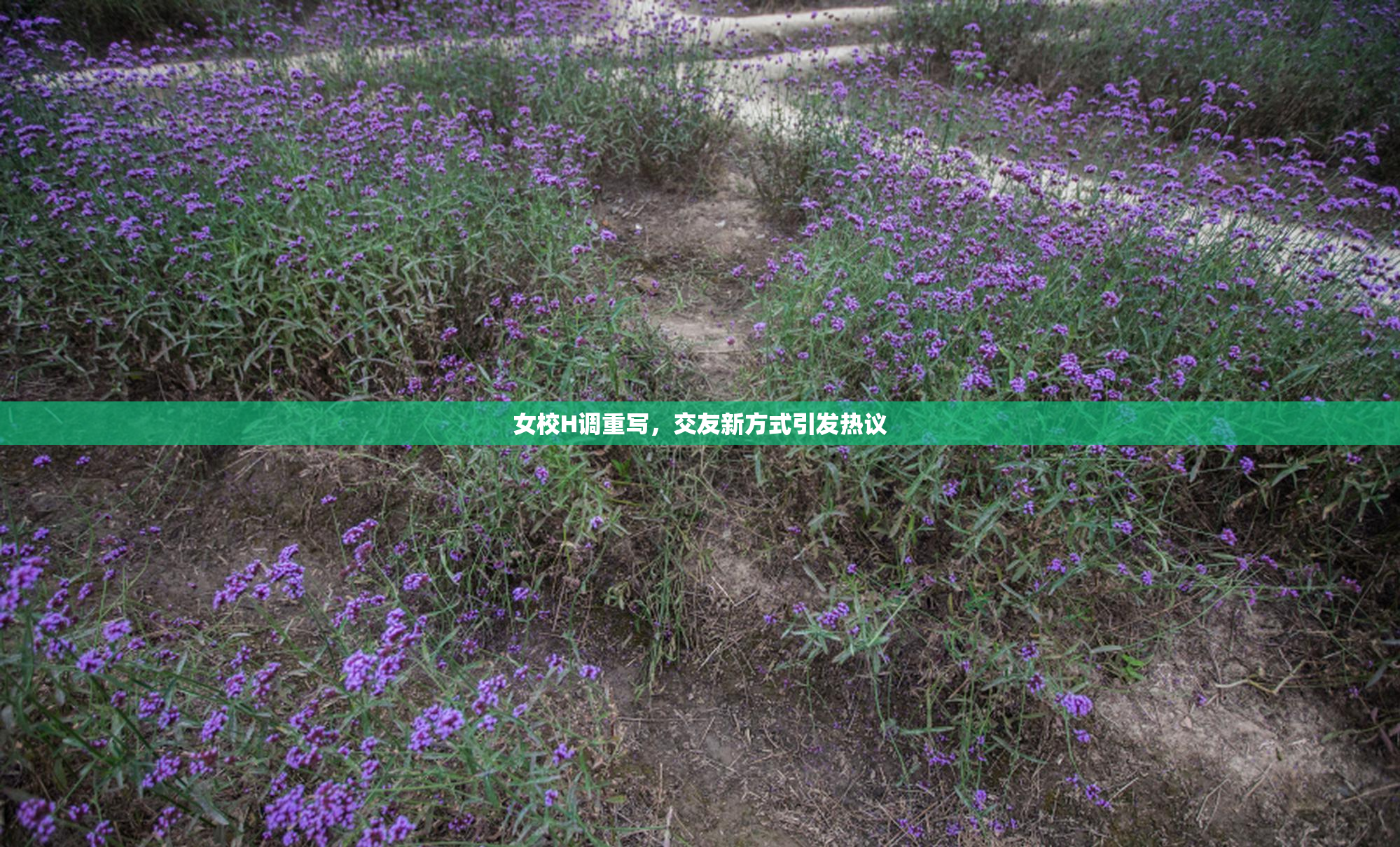 女校H调重写，交友新方式引发热议