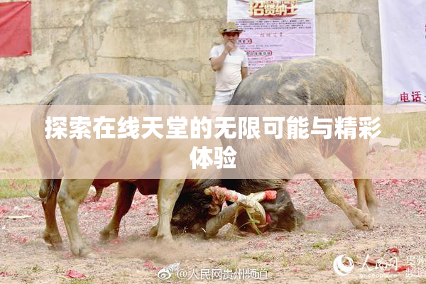 探索在线天堂的无限可能与精彩体验