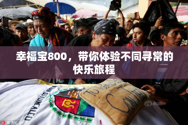 幸福宝800，带你体验不同寻常的快乐旅程
