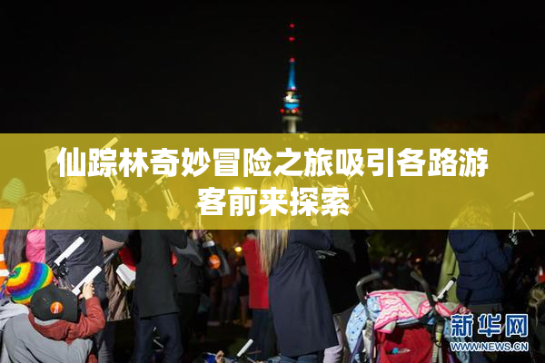 仙踪林奇妙冒险之旅吸引各路游客前来探索