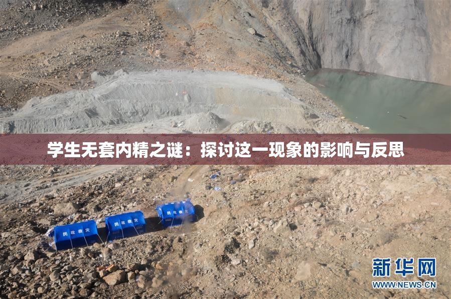 学生无套内精之谜：探讨这一现象的影响与反思