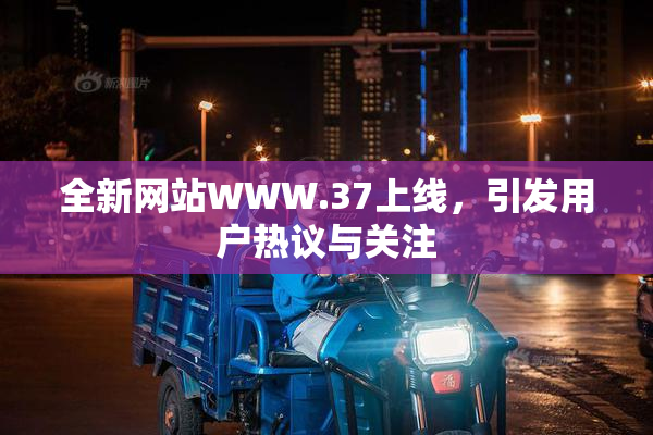 全新网站WWW.37上线，引发用户热议与关注