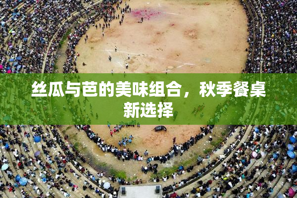 丝瓜与芭的美味组合，秋季餐桌新选择