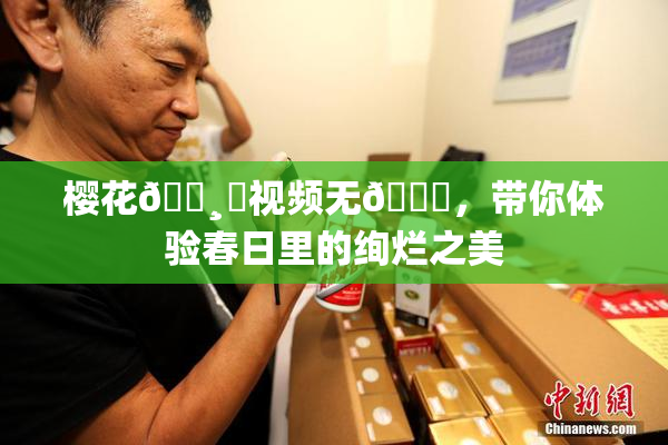 樱花🌸‌视频无🈚，带你体验春日里的绚烂之美