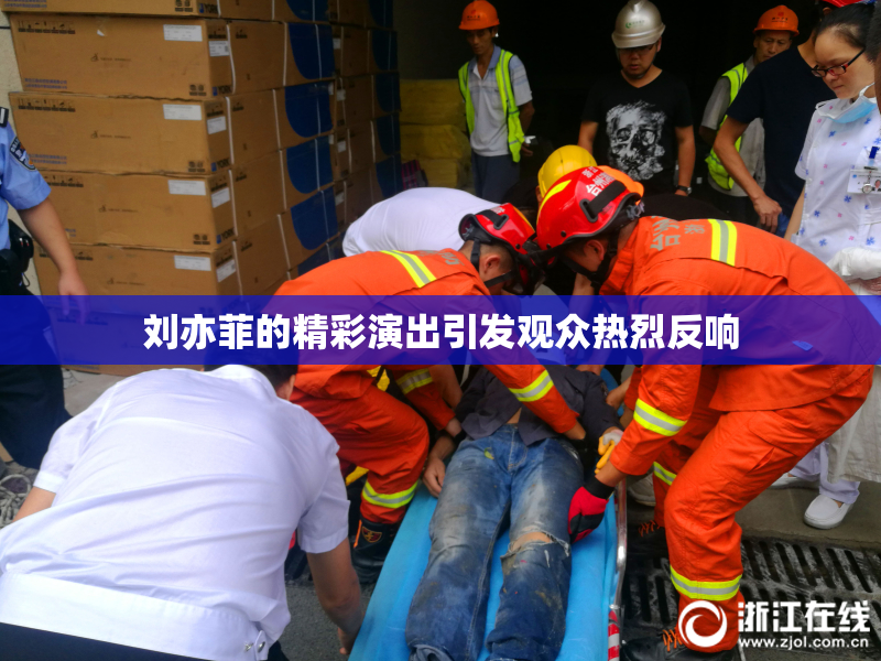 刘亦菲的精彩演出引发观众热烈反响