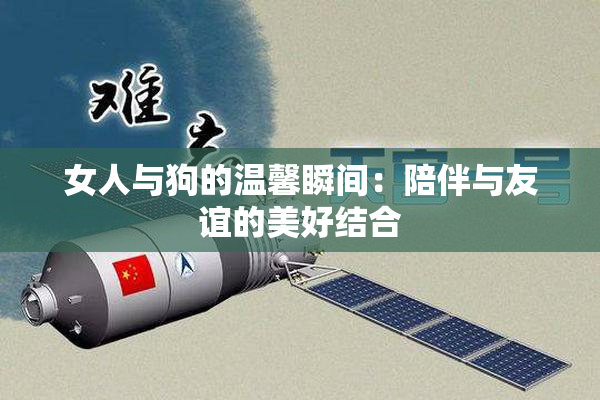 女人与狗的温馨瞬间：陪伴与友谊的美好结合