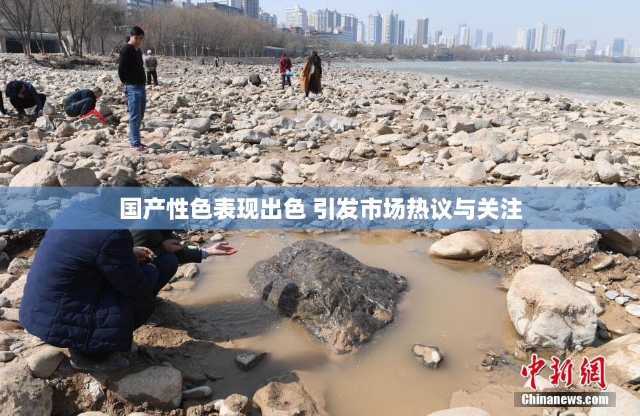 国产性色表现出色 引发市场热议与关注