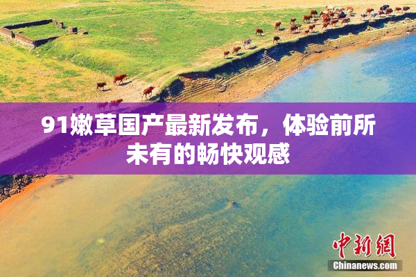 91嫩草国产最新发布，体验前所未有的畅快观感