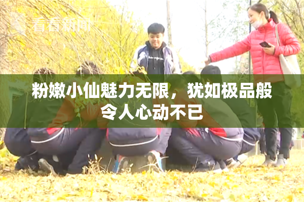 粉嫩小仙魅力无限，犹如极品般令人心动不已