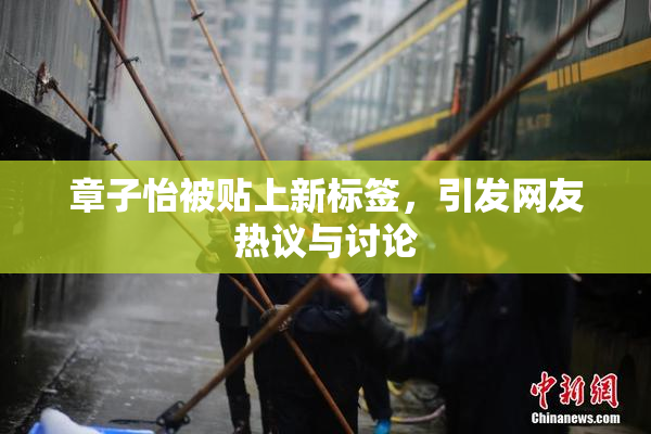 章子怡被贴上新标签，引发网友热议与讨论