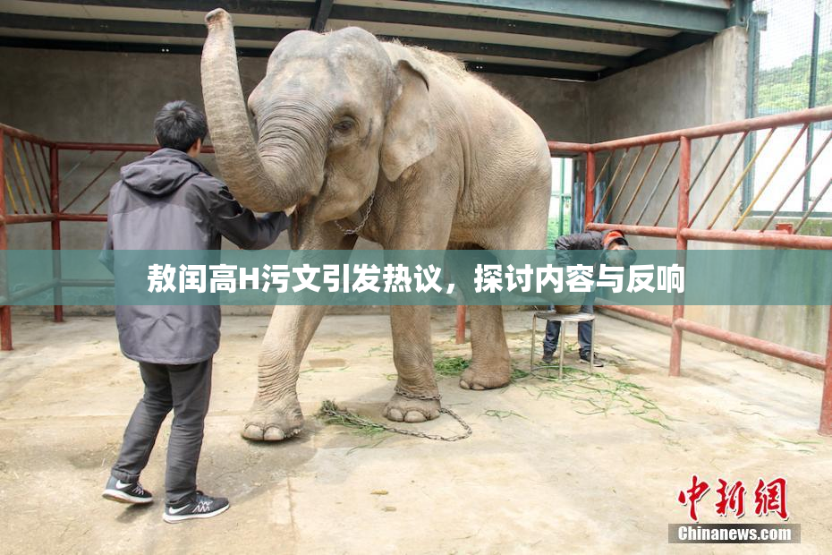 敖闰高H污文引发热议，探讨内容与反响