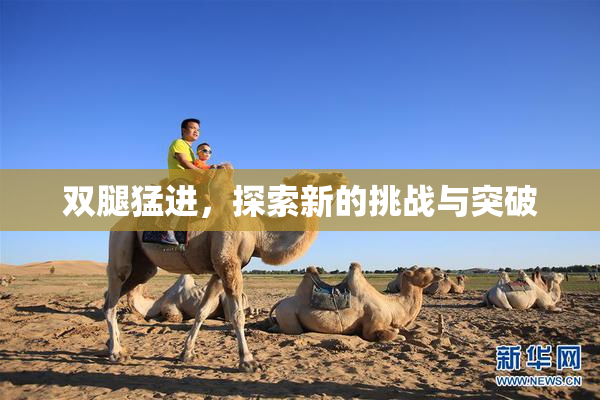 双腿猛进，探索新的挑战与突破