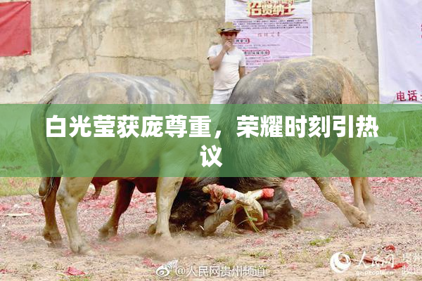 白光莹获庞尊重，荣耀时刻引热议
