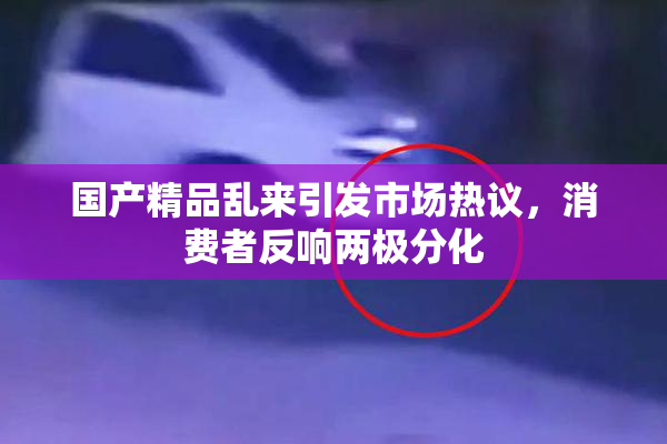 国产精品乱来引发市场热议，消费者反响两极分化