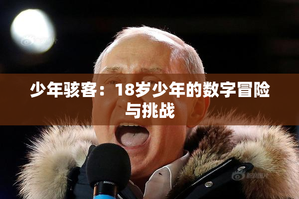 少年骇客：18岁少年的数字冒险与挑战