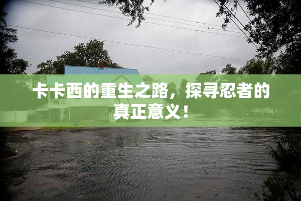 卡卡西的重生之路，探寻忍者的真正意义！
