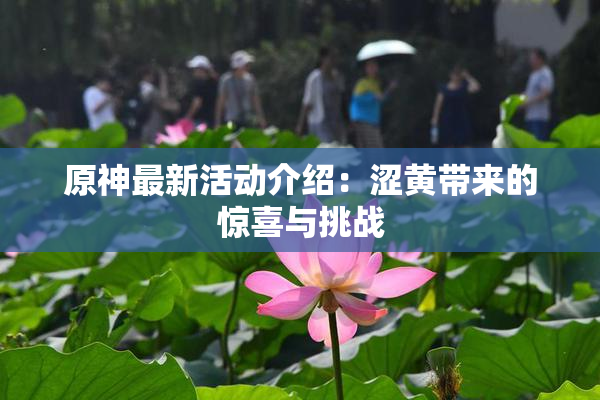 原神最新活动介绍：涩黄带来的惊喜与挑战