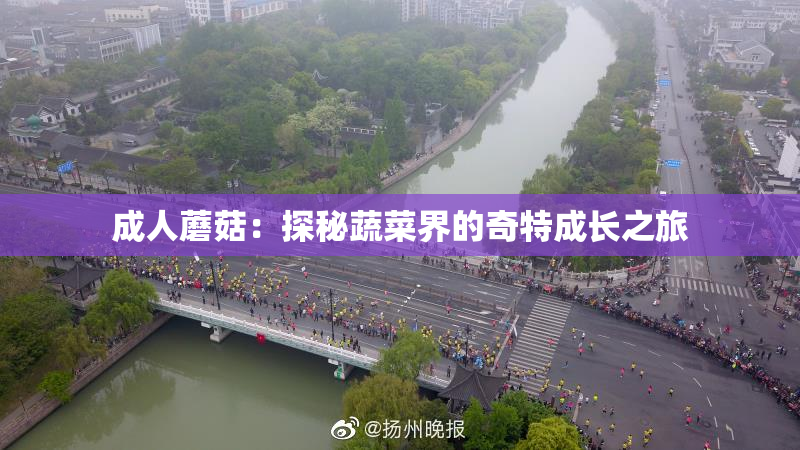 成人蘑菇：探秘蔬菜界的奇特成长之旅